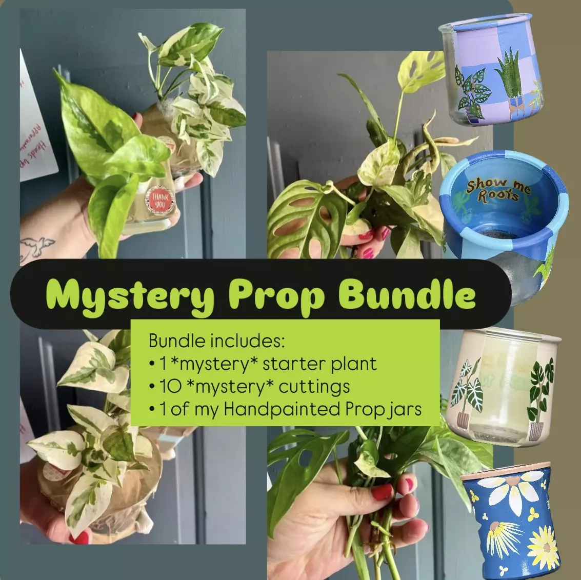 plant/$100+ value‼️ MYSTERY PROP bundle! Read below-0