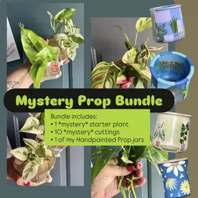 plant/$100+ value‼️ MYSTERY PROP bundle! Read below-0-thumbnail