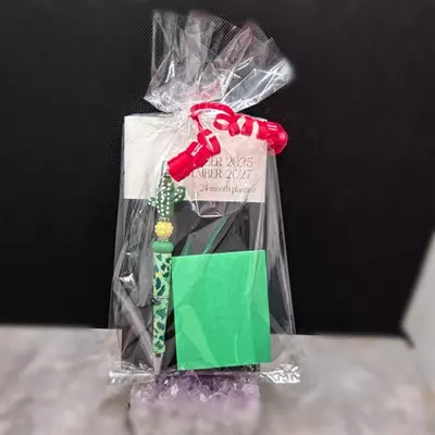 plant/Cammo Cactus Beaded Pen & Planner Set-0-thumbnail