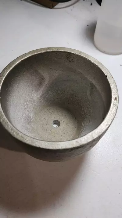 plant/Sandy low round pot,4 inch. - Add-on only-1-thumbnail