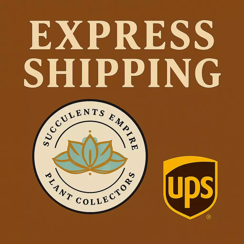 shipping_upgrade/EXPRESS SHIPPING-0