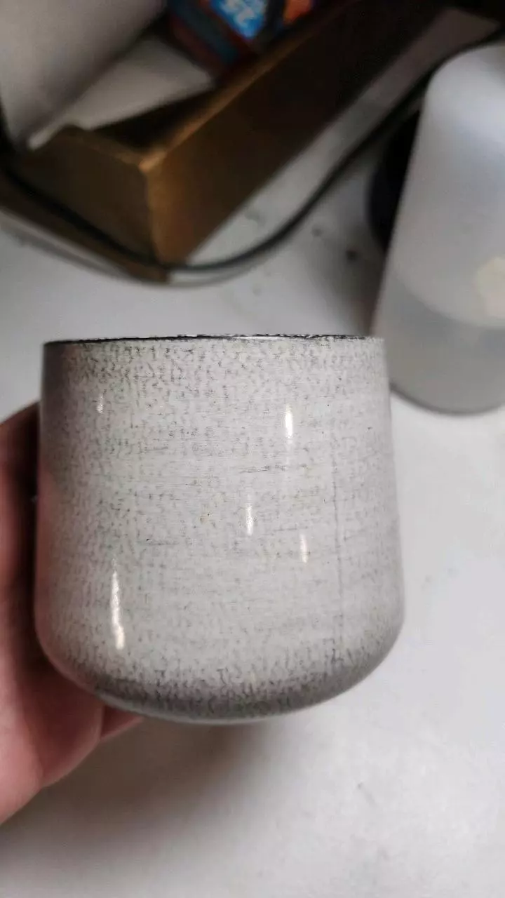 plant/light grey 3 inch pot- Add-on only-0