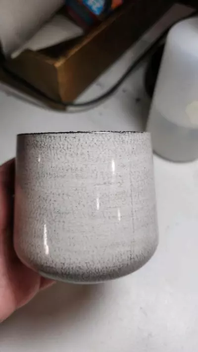 plant/light grey 3 inch pot- Add-on only-0-thumbnail