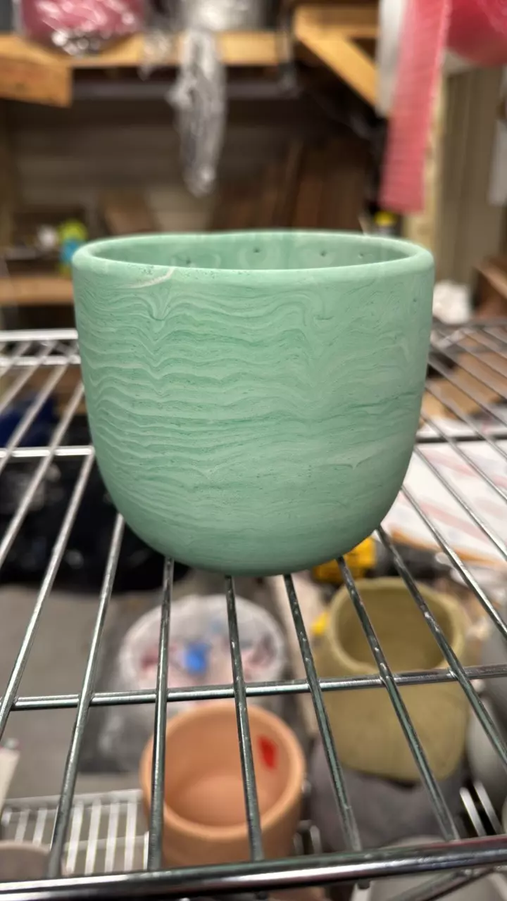 plant/B42 4” perfect-0