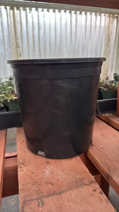 shipping_upgrade/Ship in pot 11/24-11/30-0-thumbnail