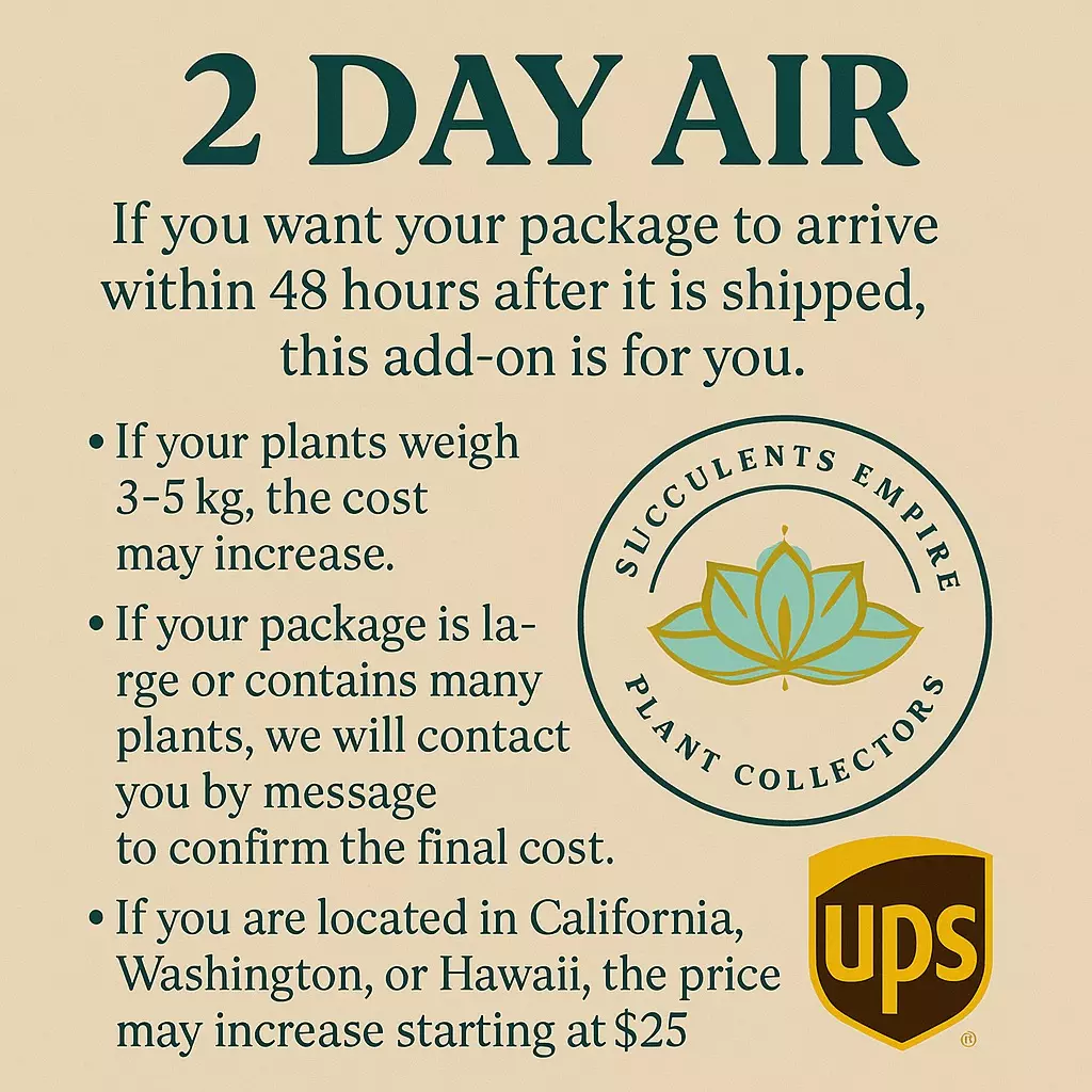 shipping_upgrade/2 days air add on ****-0