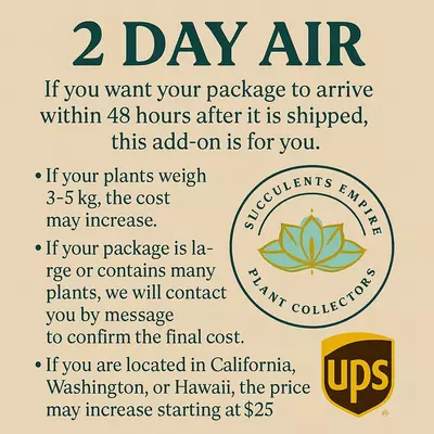 shipping_upgrade/2 days air add on ****-0-thumbnail