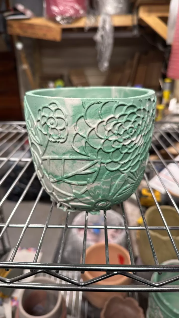 plant/B49 4.75” spring-0