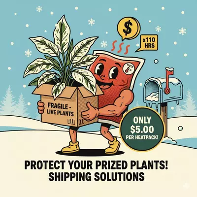 heat_pack/Heat Pack-0-thumbnail