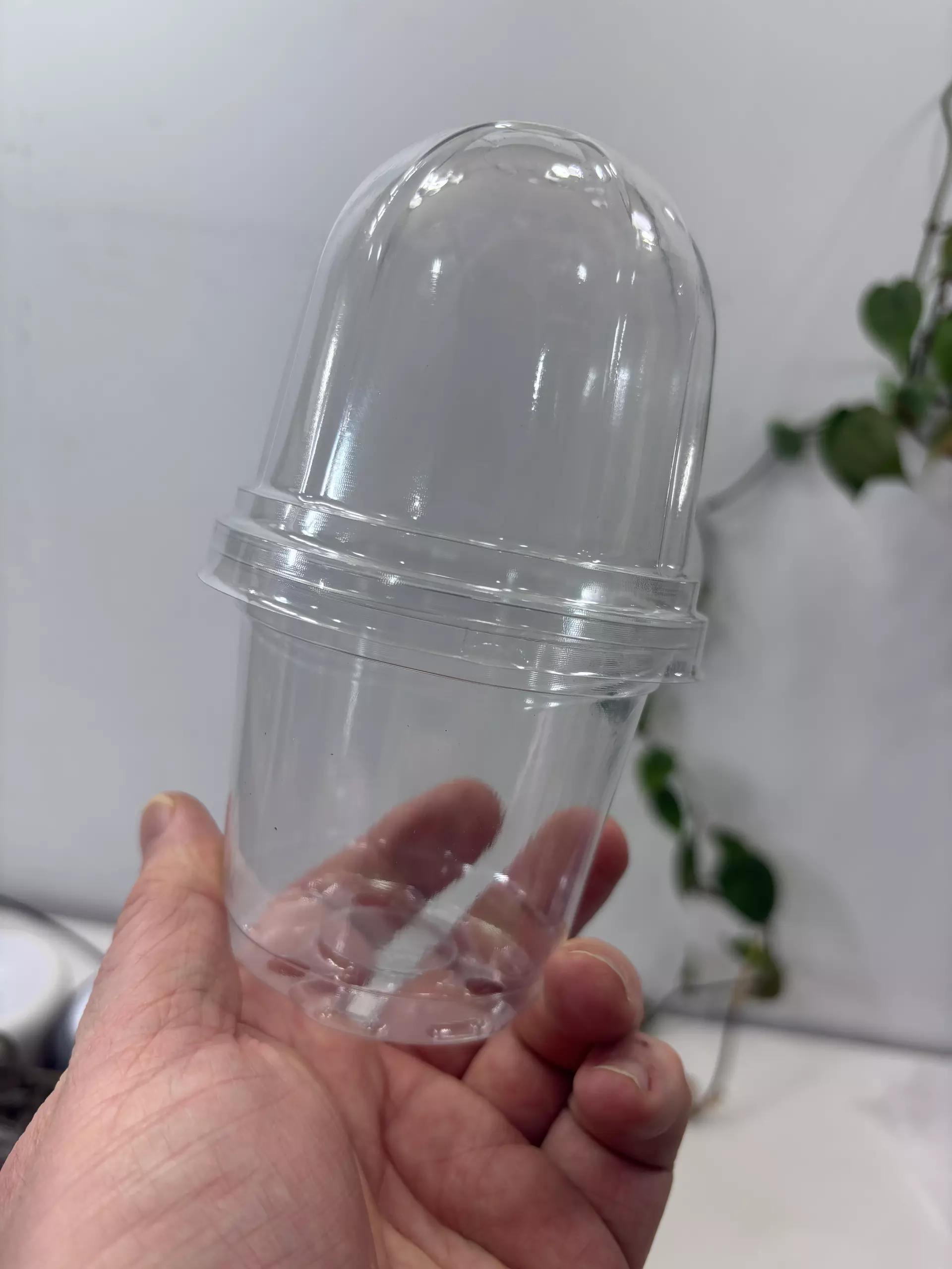 plant/10 Pack 3.7" Clear Pots with Domes-0