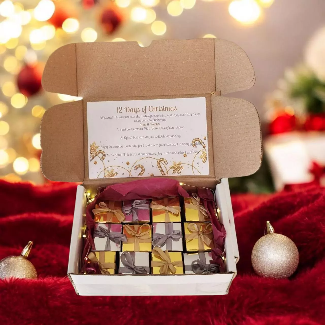 plant/12 days of Christmas-0