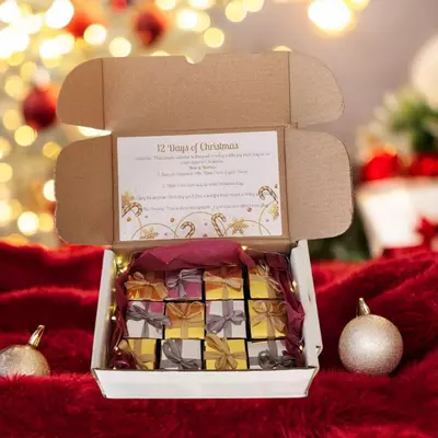 plant/12 days of Christmas-0-thumbnail