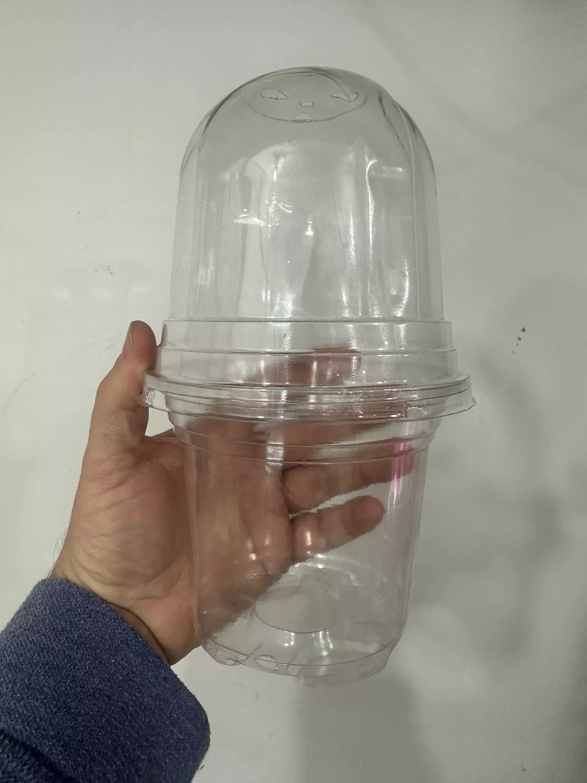 plant/6 Pack 5" Clear Pot with Dome-0