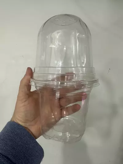 plant/6 Pack 5" Clear Pot with Dome-0-thumbnail