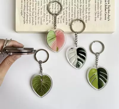 plant/Set of 8 Acrylic rare plant keychains-1-thumbnail