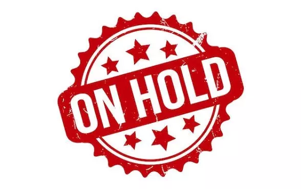 free_shipping/Hold my order over holiday-0