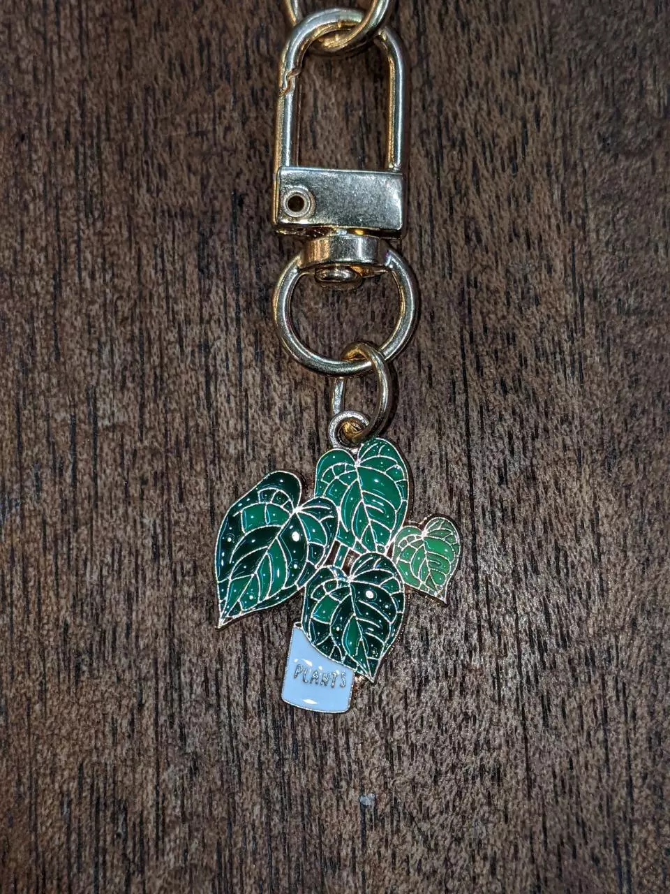 free_shipping/Add on monstera key chain charm-0