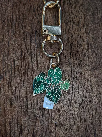 free_shipping/Add on monstera key chain charm-0-thumbnail