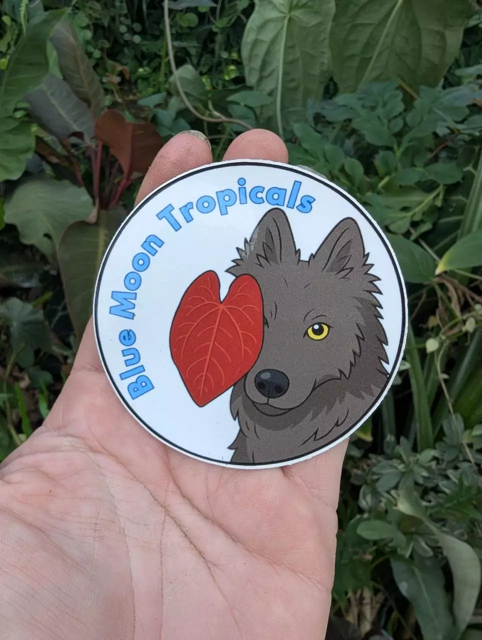 free_shipping/Howl & Anthurium sticker 3"-0