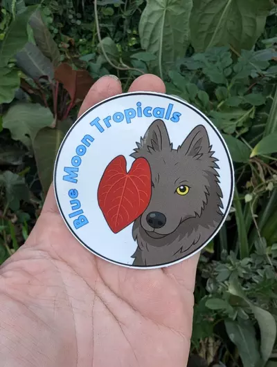 free_shipping/Howl & Anthurium sticker 3"-0-thumbnail