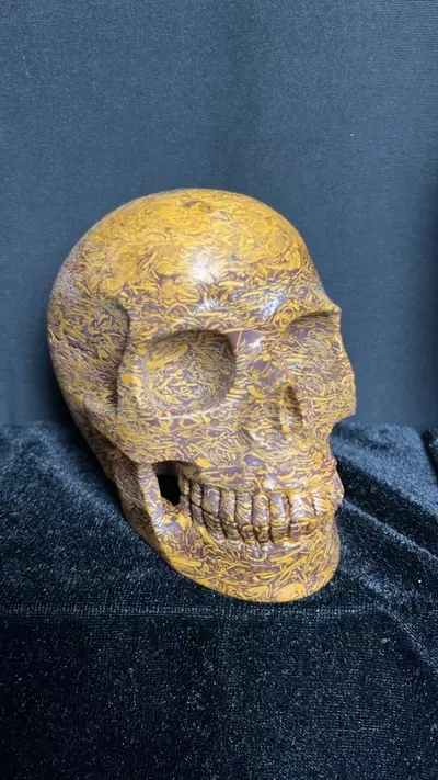 plant/4.5in Calligraphy Jasper Skull-0-thumbnail