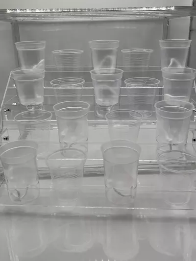 plant/Acrylic shelving for propagation cabinet/ prop box-1-thumbnail