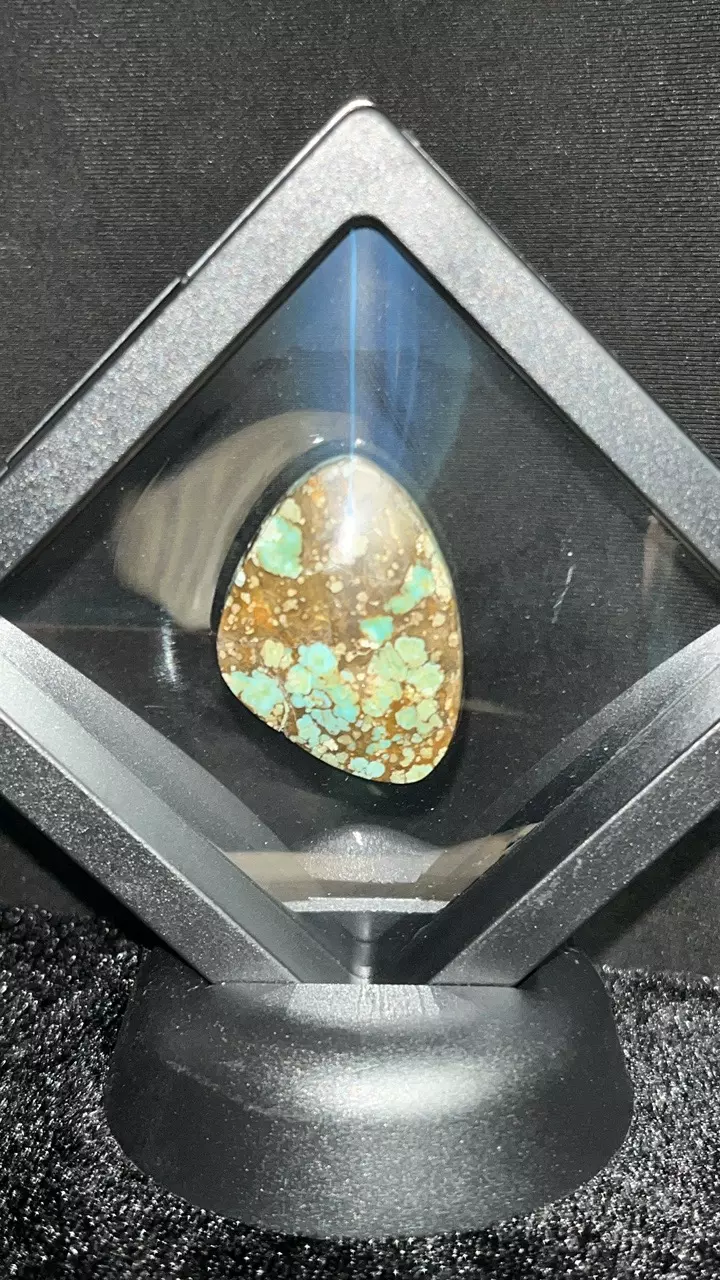 plant/33Ct Number 8 Turquoise-0