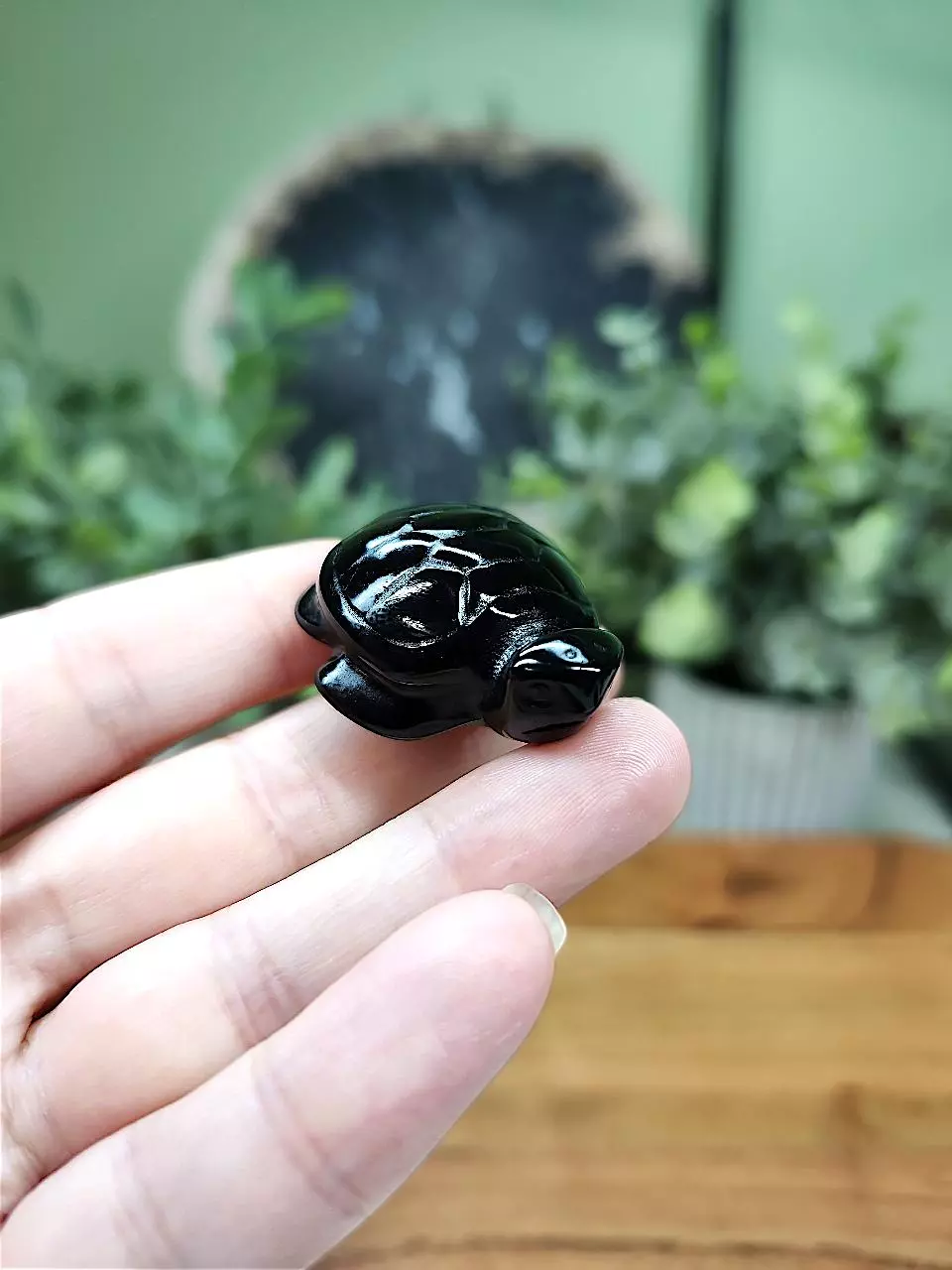 plant/Obsidian mini turtle-0