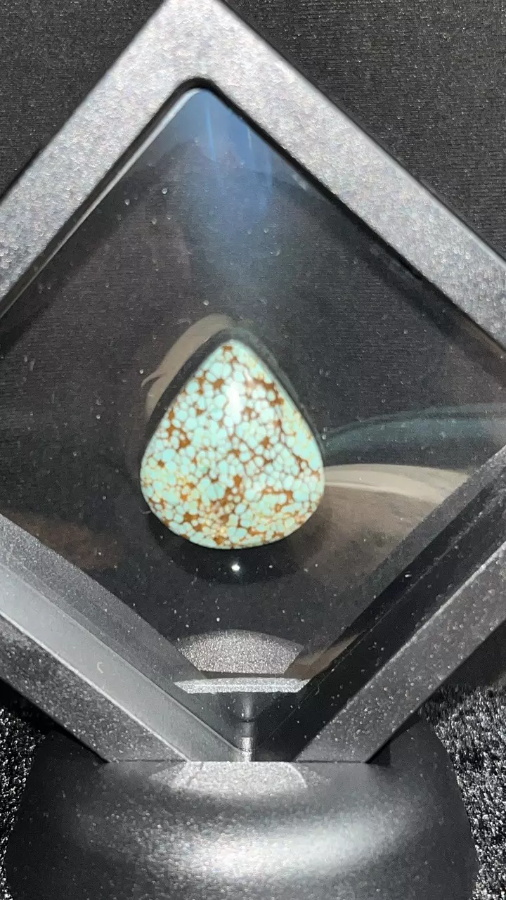 plant/19.35Ct Number 8 Turquoise-0