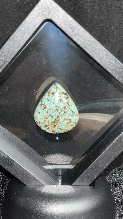 plant/19.35Ct Number 8 Turquoise-0-thumbnail