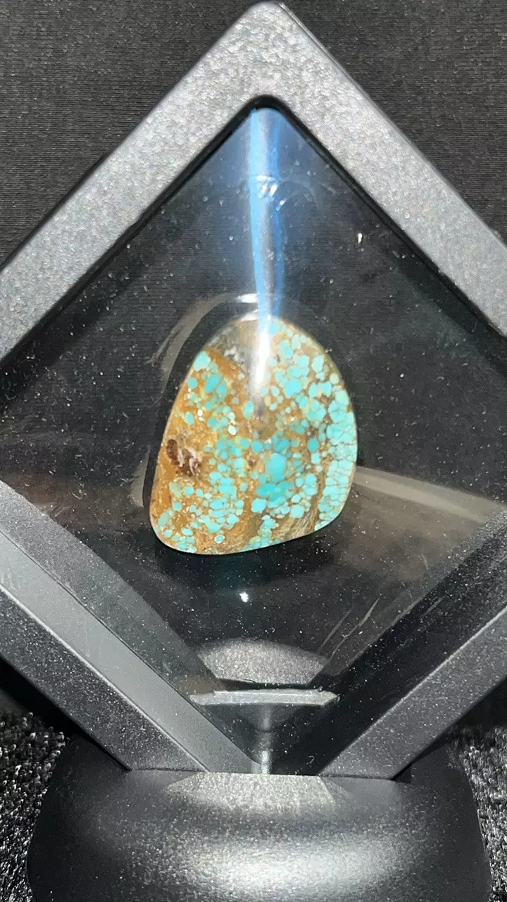 plant/30Ct Number 8 Turquoise-0