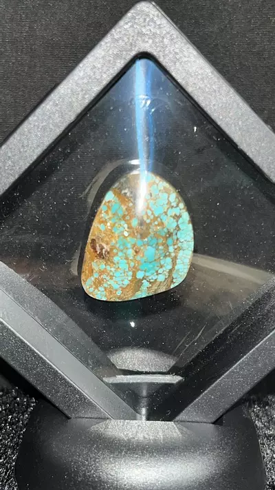 plant/30Ct Number 8 Turquoise-0-thumbnail