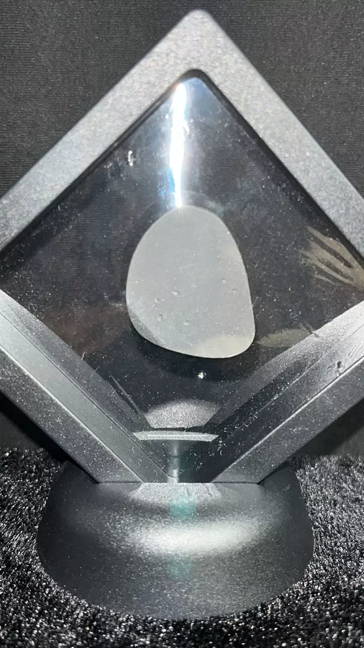 plant/30Ct Number 8 Turquoise-1