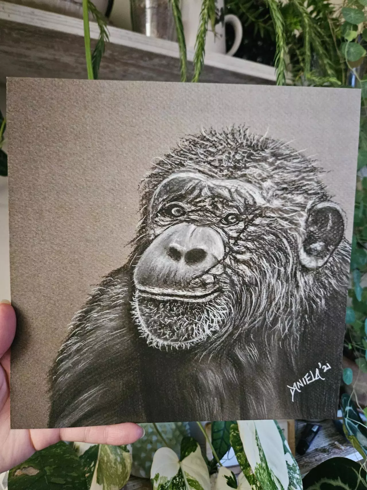 plant/10x10" chimp print-1