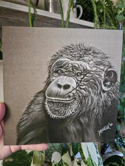 plant/10x10" chimp print-1-thumbnail