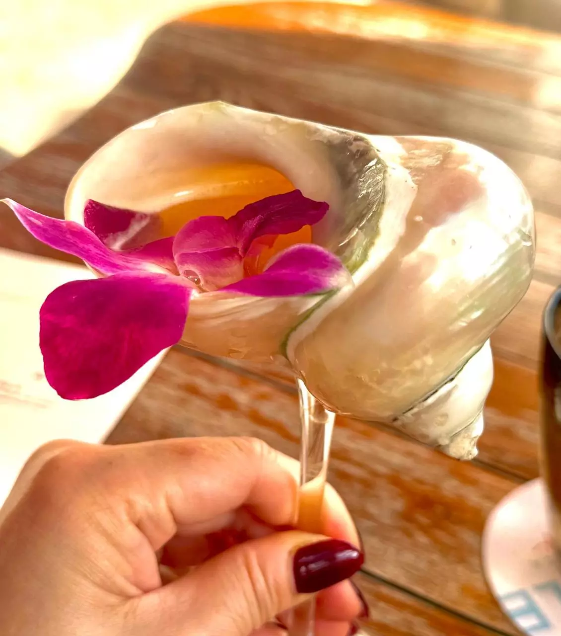 plant/TC - Alo Scalprum aurea (game pieces engage!!)-0