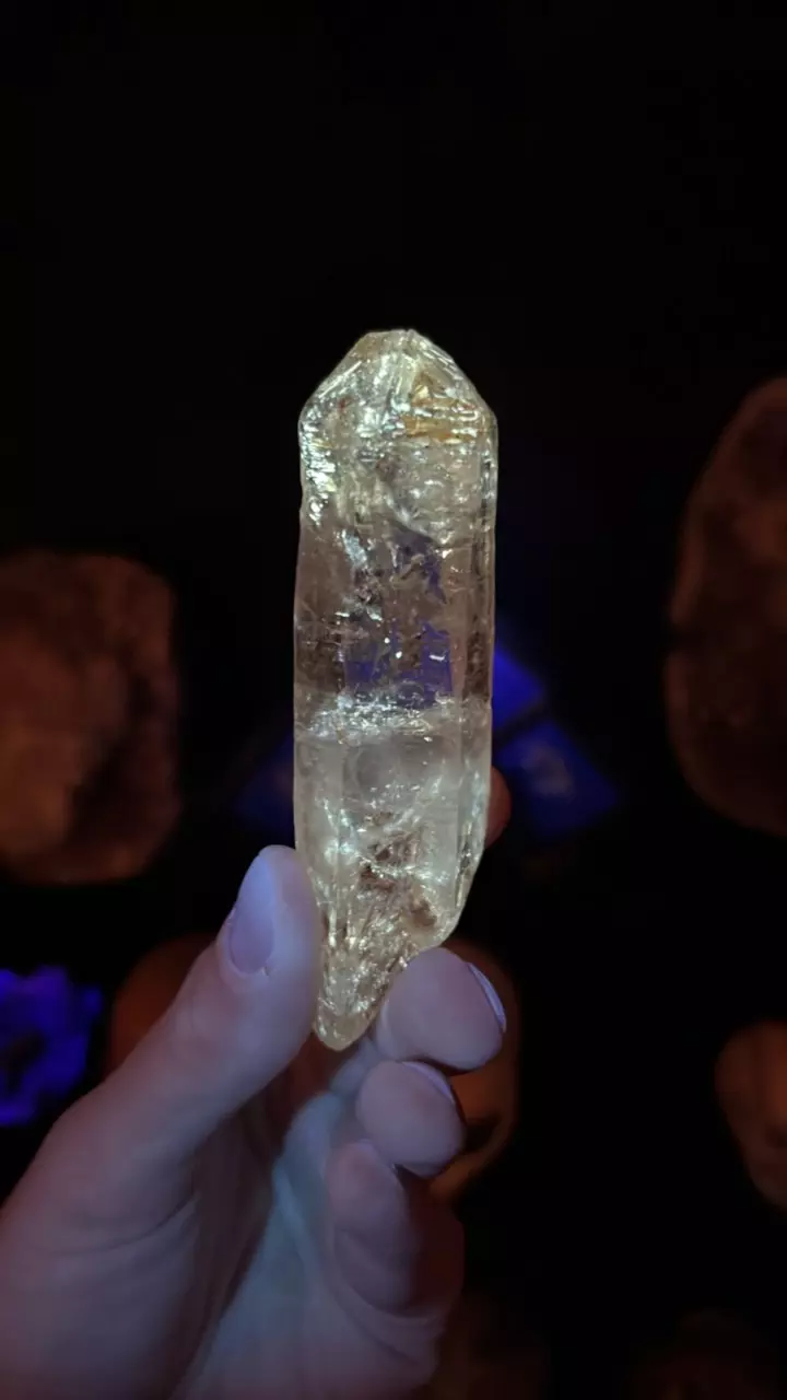 plant/89g Petroleum Quartz-1