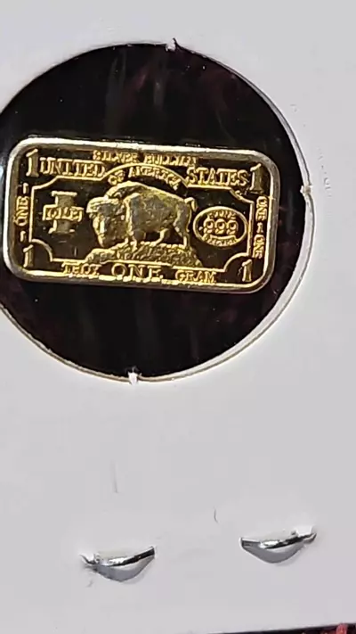 plant/1 Gram .999 fine Silver Buffalo bar gold(plated)-0-thumbnail