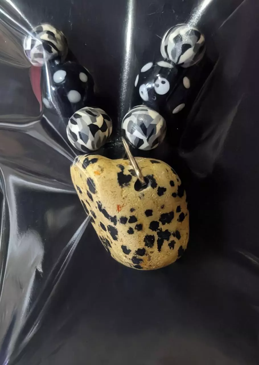 plant/Dalmatian Jasper Necklace-0