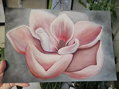 plant/12x18" magnolia print.-2-thumbnail
