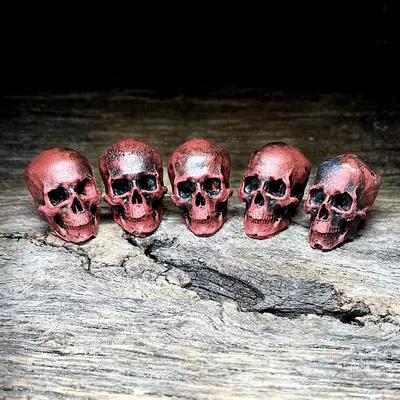 plant/Staging Skulls - 5 Red-0-thumbnail
