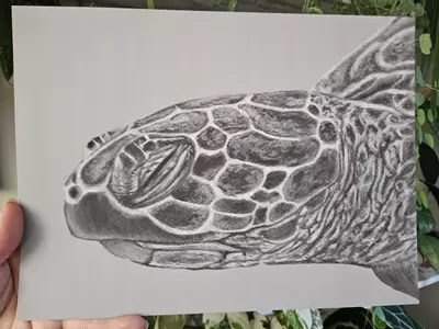 plant/9x12" seaturtle print-0-thumbnail