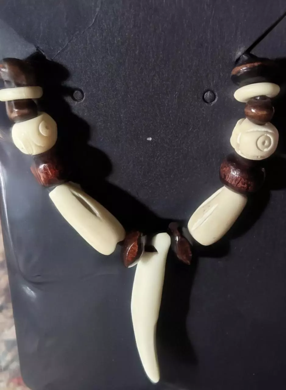 plant/Coyote 🐺 Tooth Necklace-0