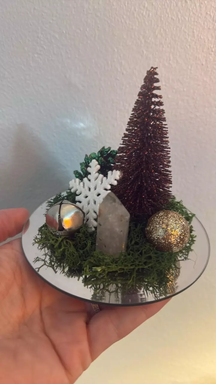 plant/Christmas mirror coaster-1