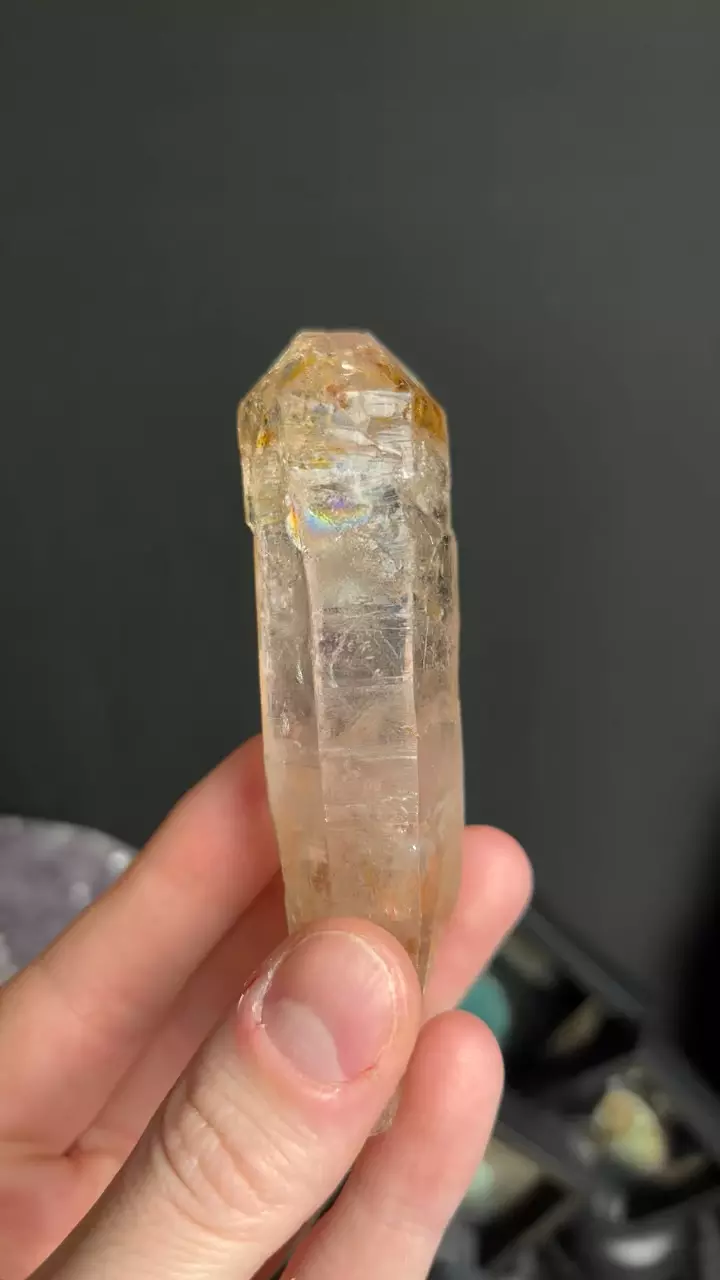 plant/89g Petroleum Quartz-0