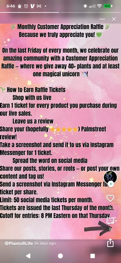 plant/MONTHLY RAFFLE! 💚-0-thumbnail