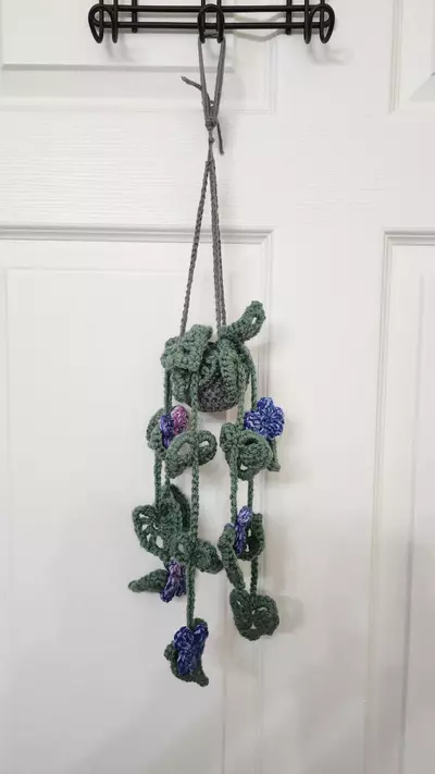 plant/Forever Plants-0-thumbnail