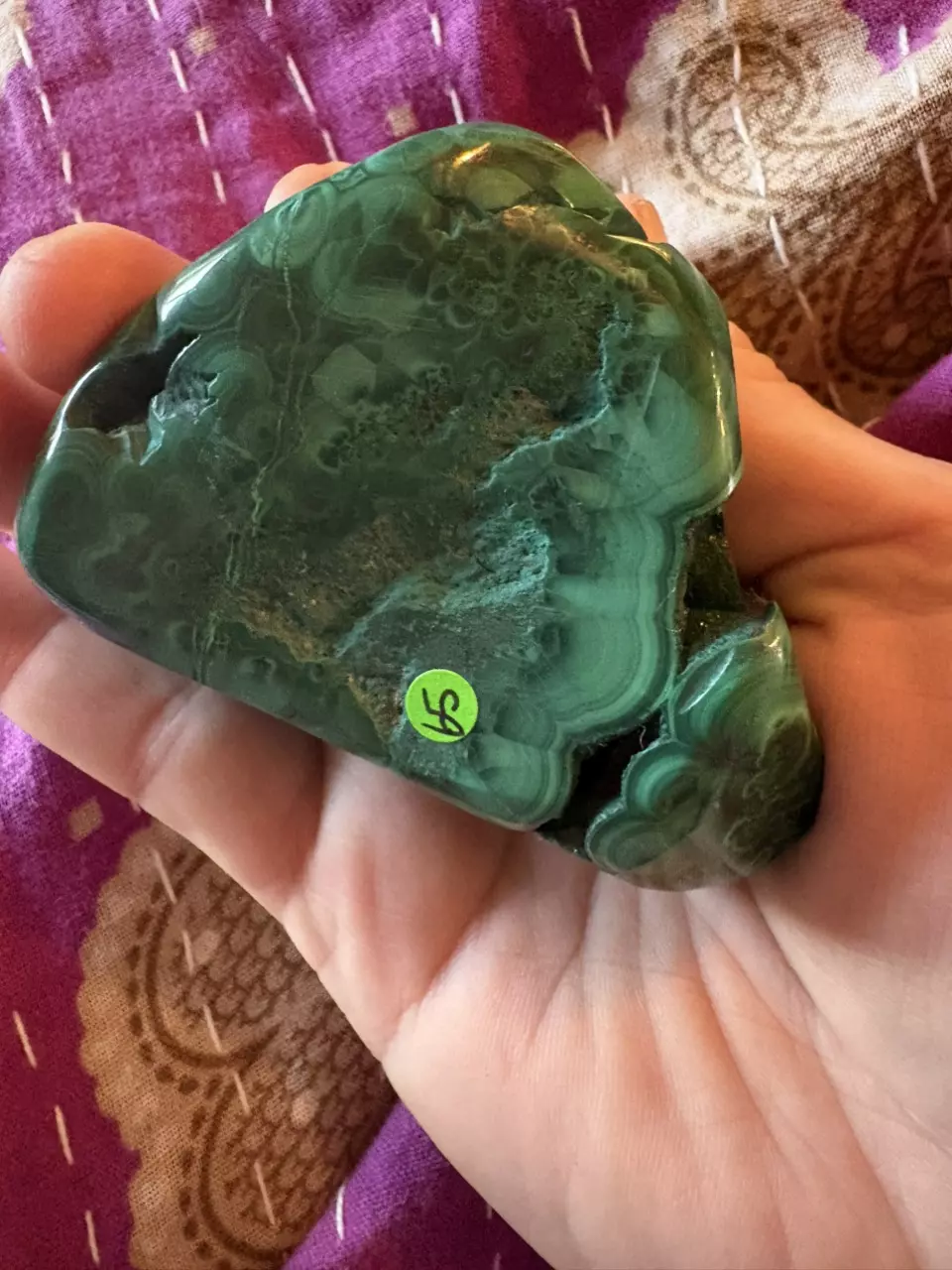 plant/Polished Malachite - Africa-0