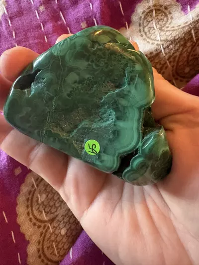 plant/Polished Malachite - Africa-0-thumbnail