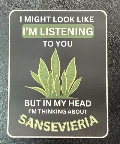 plant/Look like I’m listening stickers-0-thumbnail